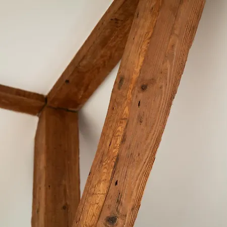 Am Grossen Garten * Drážďany