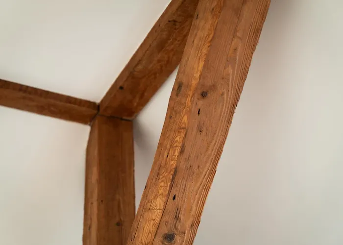 Am Grossen Garten * 드레스덴