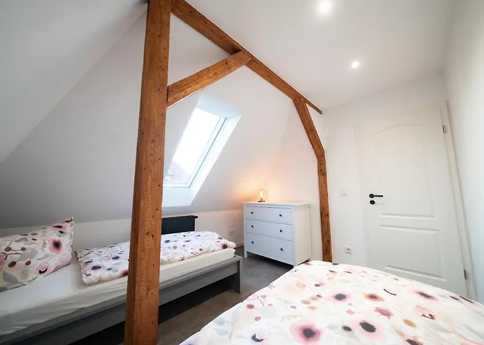 Am Grossen Garten * 드레스덴