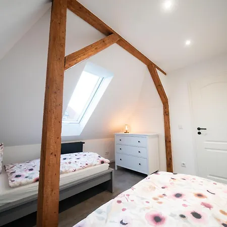 Am Grossen Garten * Dresda